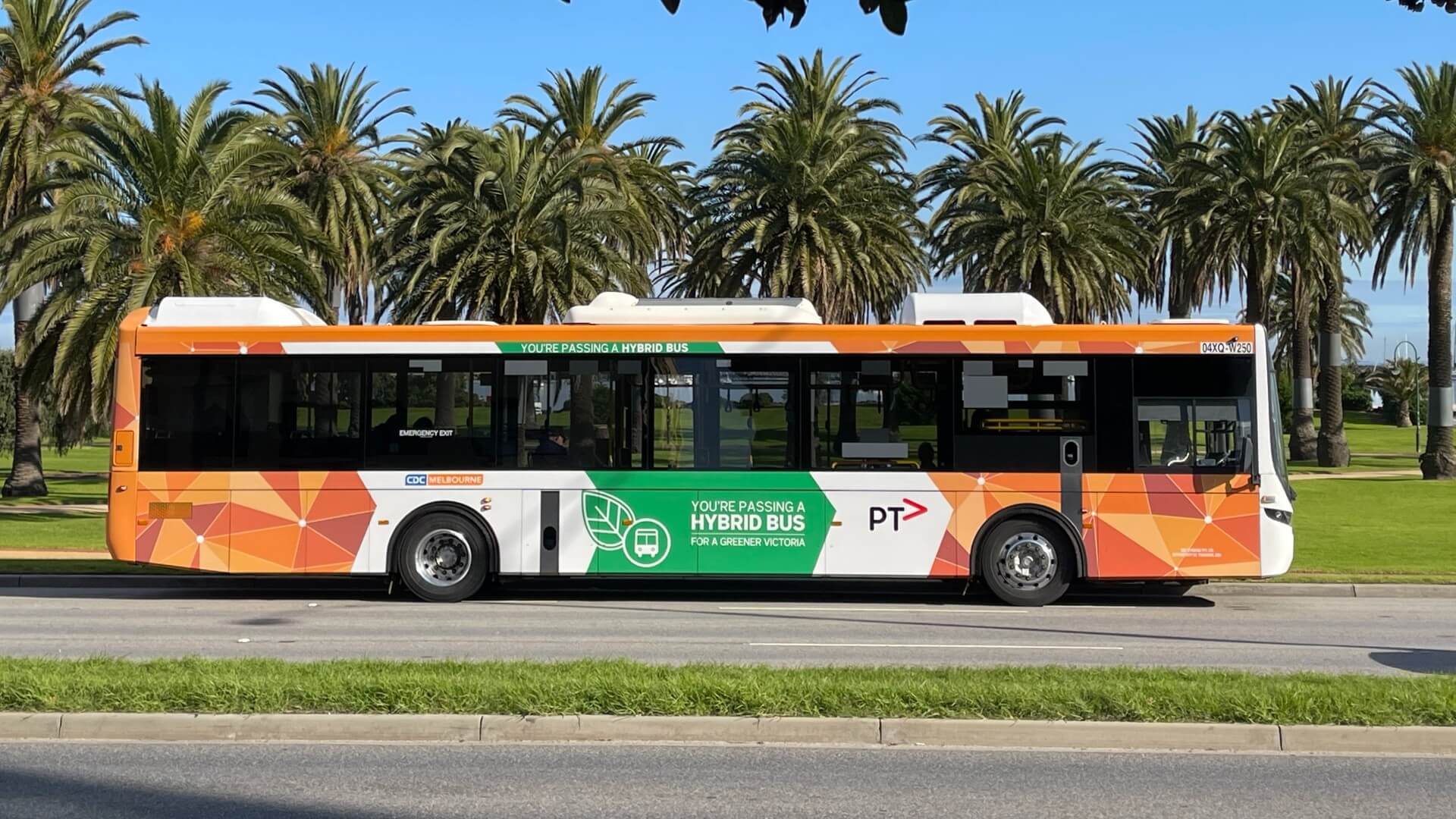 Cdc Victoria Zeb Buses